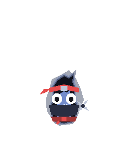 Ninja das Sombras