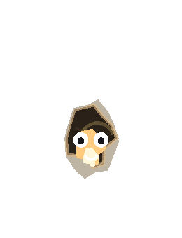 O Vulto